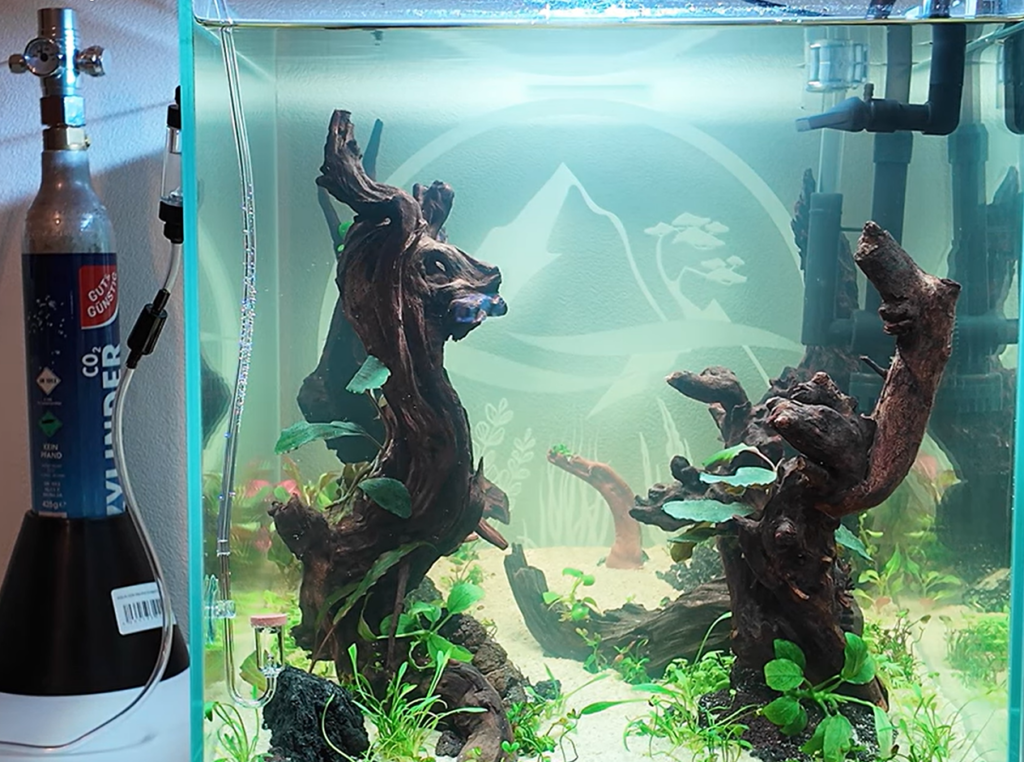 Aquarium Soda Stream Co2 Anlage
