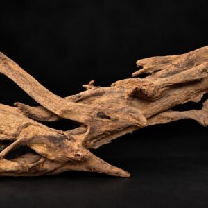 Mangrovenwurzel 50-60 cm