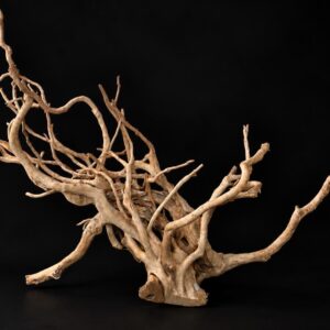 Moorwurzel Moorkienwurzel 40-50 cm