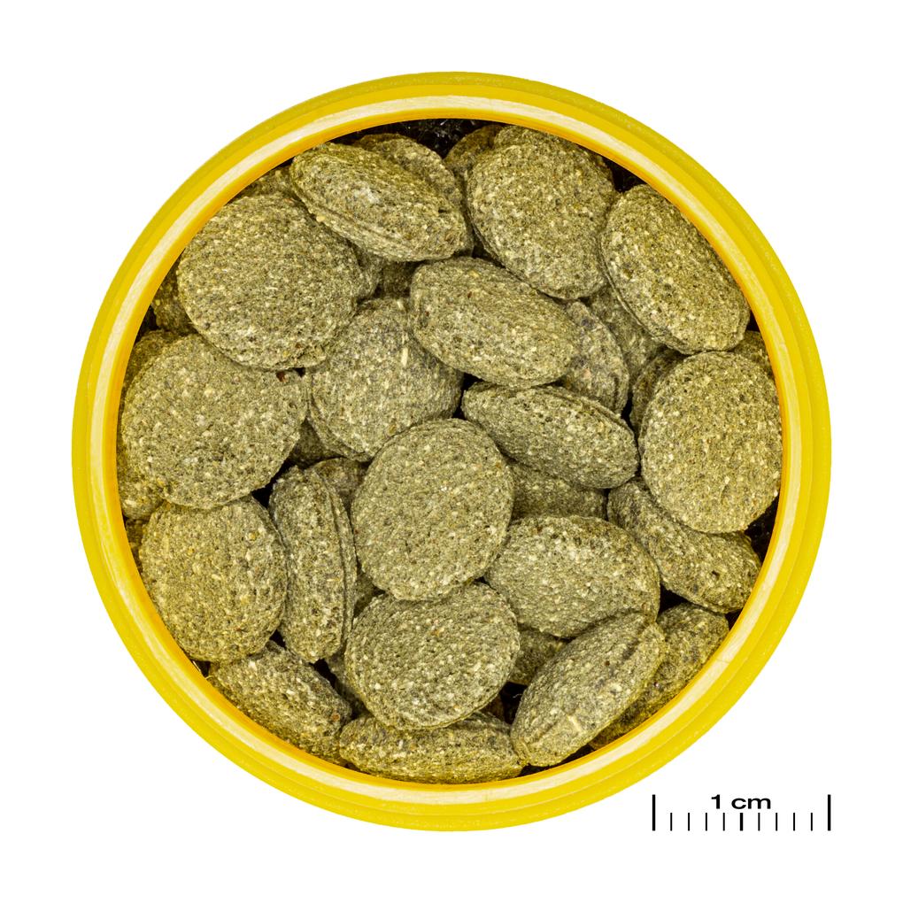 JBL PRONOVO PLECO WAFER M 250ml – Ansicht 2