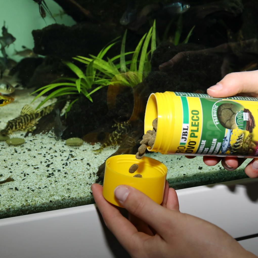 JBL PRONOVO PLECO WAFER M 250ml – Ansicht 5